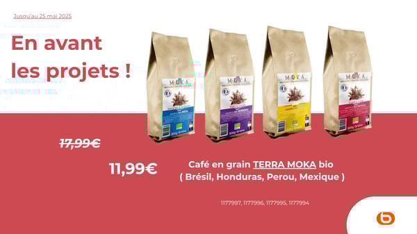 Café en grain TERRA MOKA bio