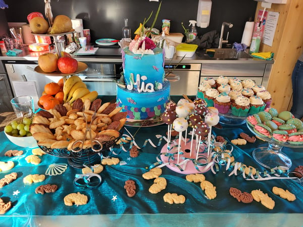 Geburtstagsbuffet, Cakepops, Cup Cakes - Das Naschwerk