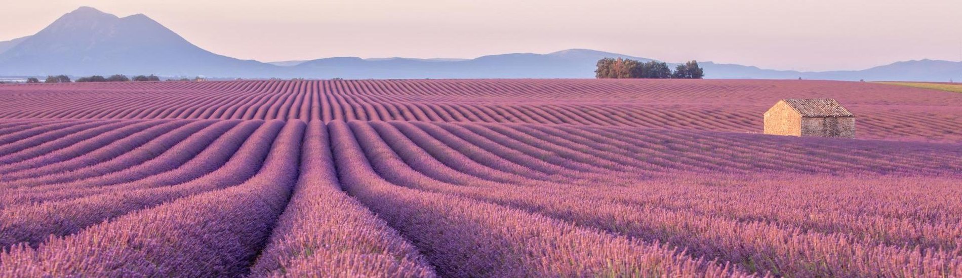 Hero Background Image