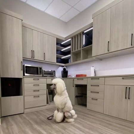 Kitchen Pantry with pantry shelving and wine storage for pantry organization by California Closets Toledo, Ohio.
