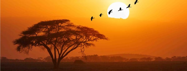 Kenia: alle unsere Hotels