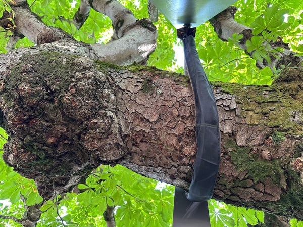 ELLEXA Sàrl, Soins aux arbres à Attalens