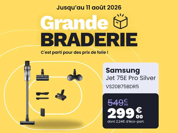 Aspirateur balai SAMSUNG Jet 75E Pro Silver VS20B75BDR5