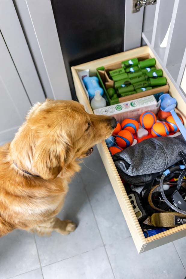 Mudroom drawer used to store dog toys and accessories
