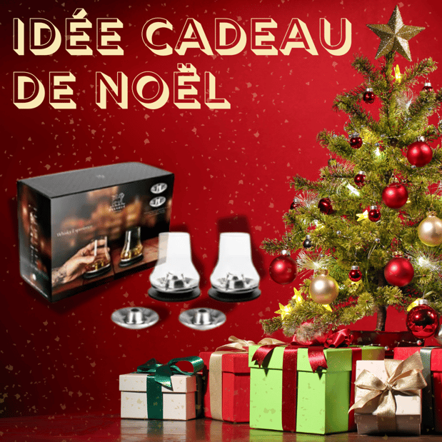 Idée de cadeau Noël : Coffret Verre à whisky PEUGEOT Experience Whisky
