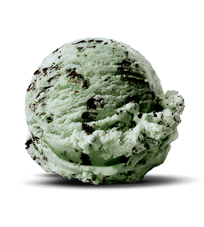 Mint Chocolate Chip