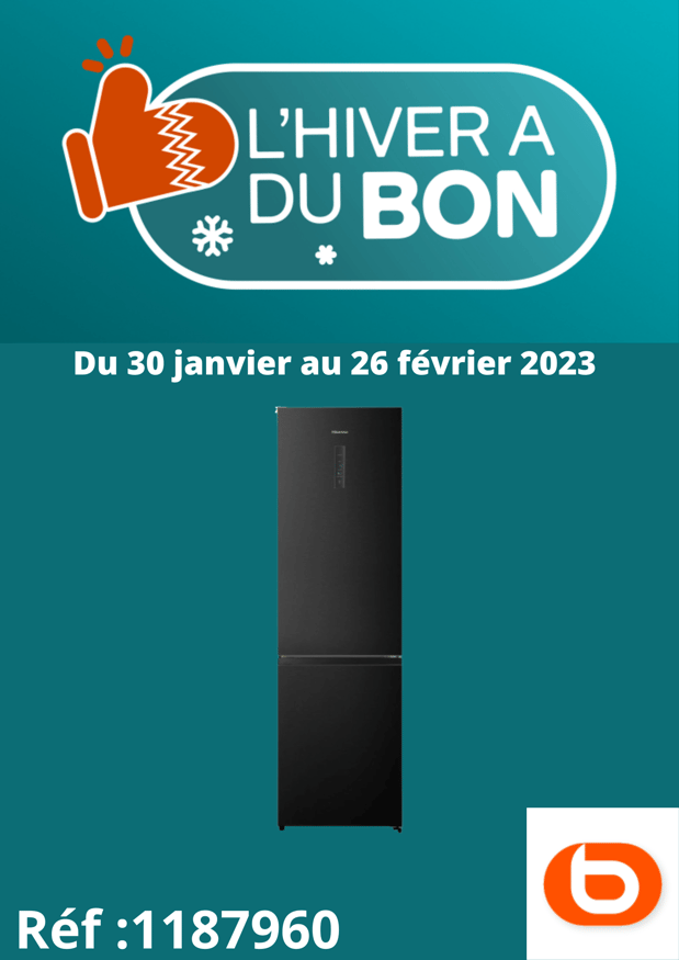 Réfrigérateur combiné Hisense RB440N4AFE
Boulanger Annemasse