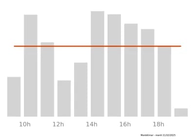 Voir le trafic sur Google maps https://maps.google.com/maps?cid=12798831077729360655