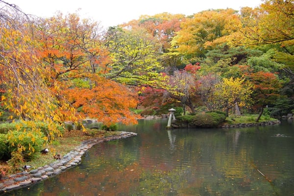 紅葉の見頃は例年11月中旬～12月上旬