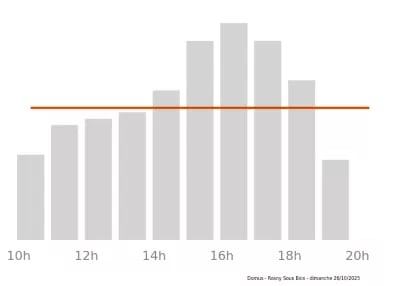 Voir le trafic sur Google maps https://maps.google.com/maps?cid=13505300287778073041