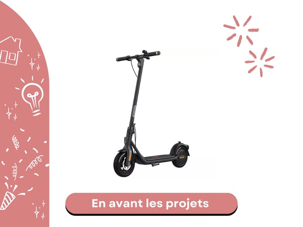 rottinette électrique Segway F2 E