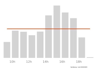 Voir le trafic sur Google maps https://maps.google.com/maps?cid=12338588797686544230