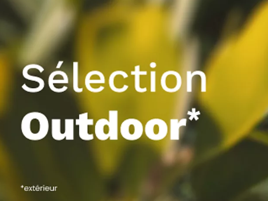 🧑‍🌾🌵Profitez des beaux jours avec Boulanger Melun – Cesson et équipez votre extérieur pour un été convivial et gourmand !🌵🧑‍🌾