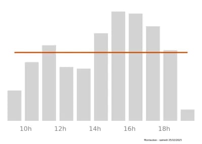 Voir le trafic sur Google maps https://maps.google.com/maps?cid=10445362675001712894