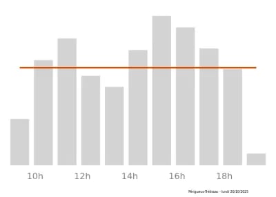 Voir le trafic sur Google maps https://maps.google.com/maps?cid=10522333501015324469