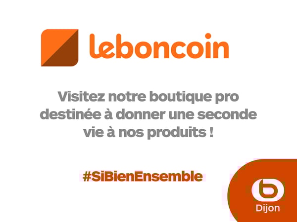 Page pro Leboncoin Boulanger Dijon Toison d'Or