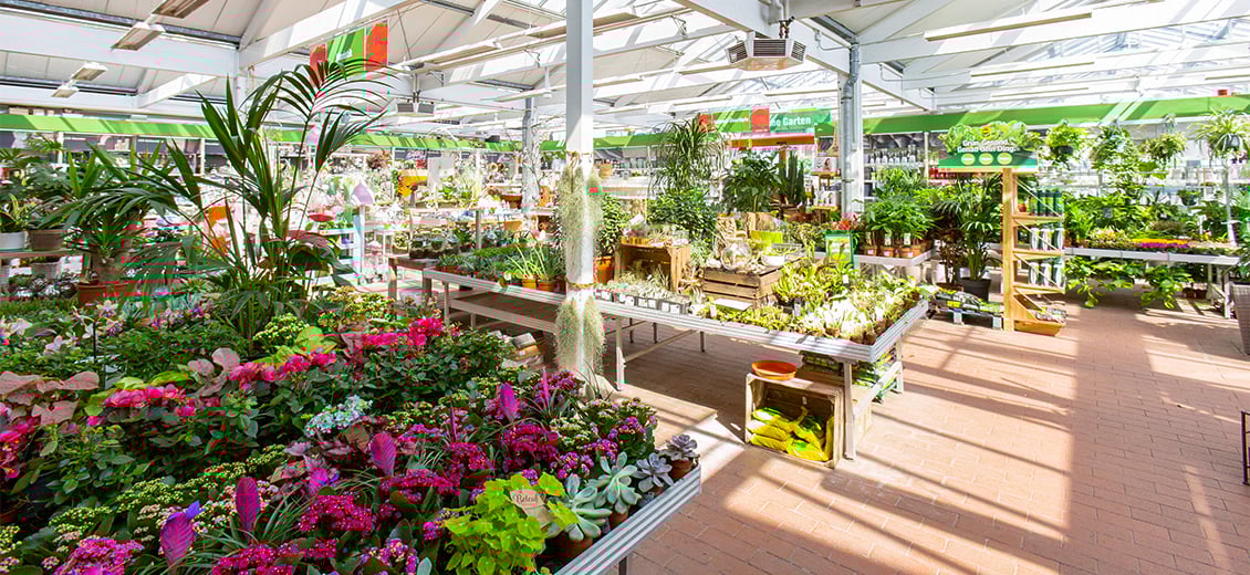 Dein OBI Markt Nienburg, Oyler Straße 10