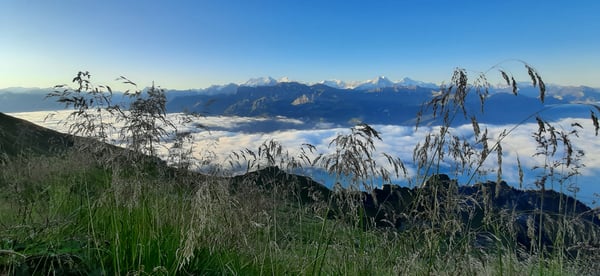 Nebelmeer Berge