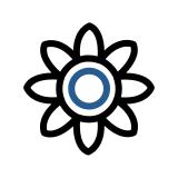Icon Image