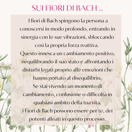 Percorsi Fiori di Bach