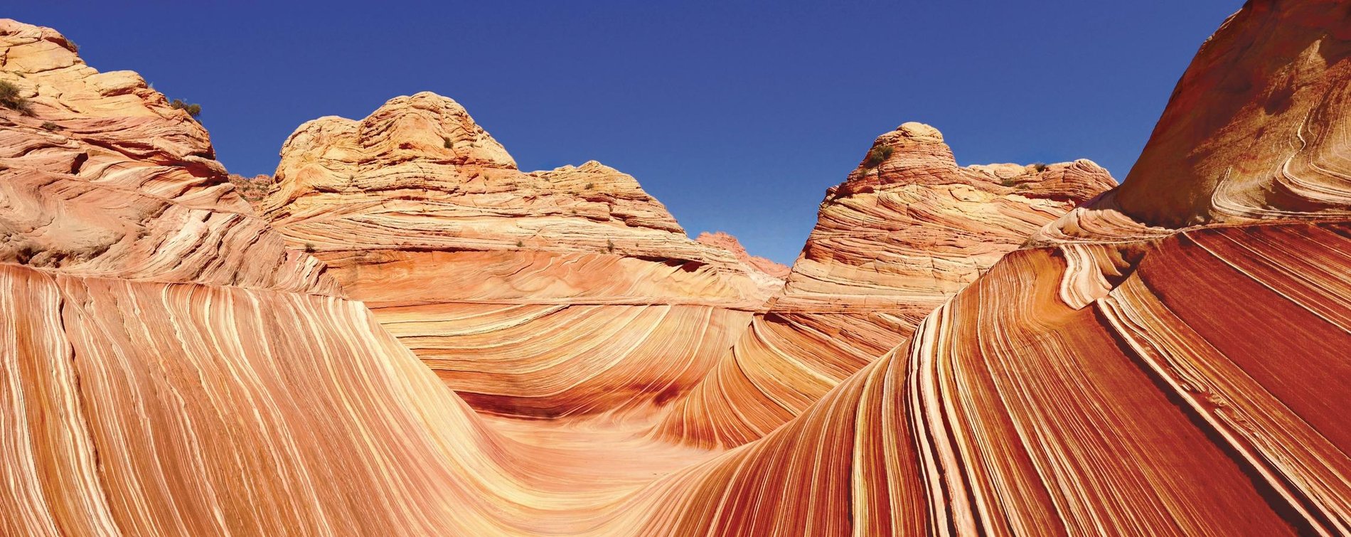 Hero Background Image