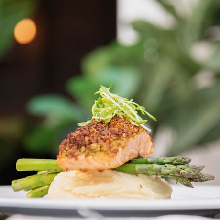salmon