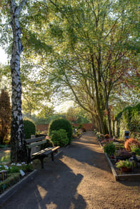 Friedhof Wanheim - Ev. Rheingemeinde Duisburg, Foto: Andreas Reinsch
