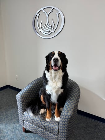 Photo of agent
