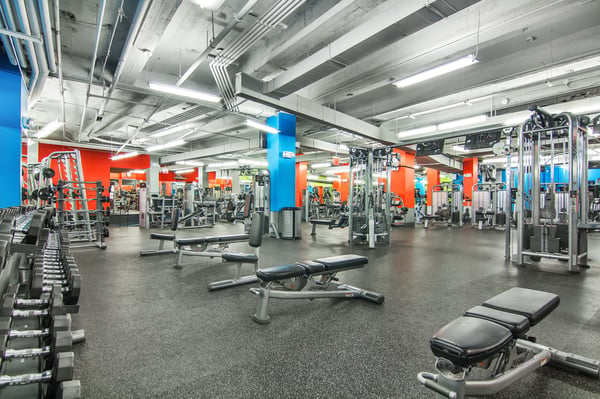 Bronx New York Gym Amenities