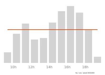 Voir le trafic sur Google maps https://maps.google.com/maps?cid=16022121687534316592