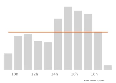Voir le trafic sur Google maps https://maps.google.com/maps?cid=15697183194548584704