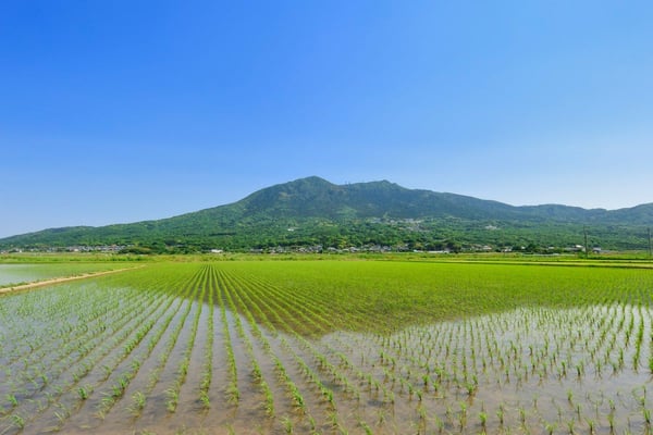 筑波山温泉郷（つくばさんおんせんきょう）