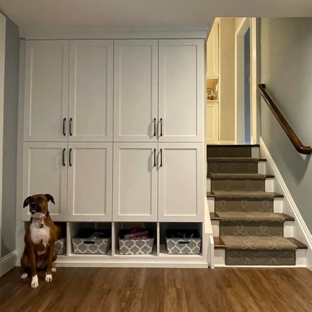 mudroom with white cabinets and stairway to the right with brown and white dog in foreground
