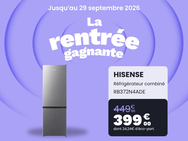 Réfrigérateur combiné HISENSE RB372N4ADE