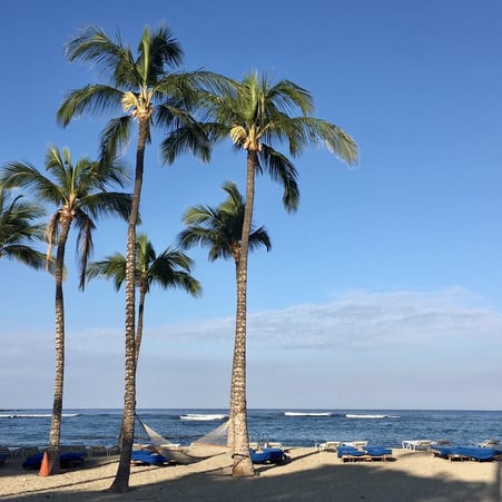 ハワイ島の風景