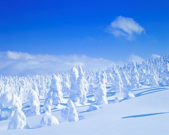 幻想的な冬の風物詩をお手軽に。ワイルドモンスター号で蔵王の樹氷を見に行こう♪ 【宮城県・山形県】 | JTBリモートコンシェルジュ トラベルコンサルタントのおすすめ旅