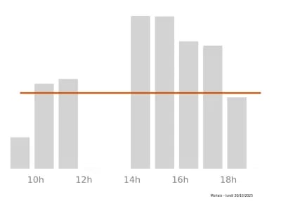 Voir le trafic sur Google maps https://maps.google.com/maps?cid=14335346544995821241