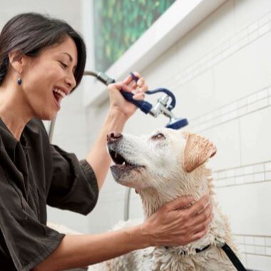 Petco Dog Grooming: Dog Baths, Haircuts, Nail Trimming