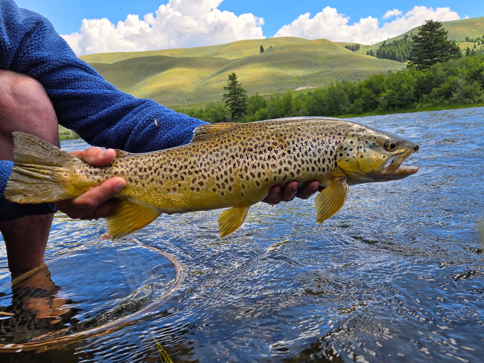 Evan Hill Bozeman, MT
