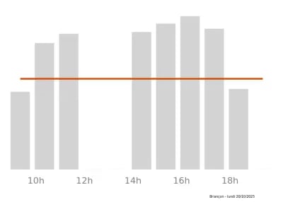 Voir le trafic sur Google maps https://maps.google.com/maps?cid=13690335147999747680