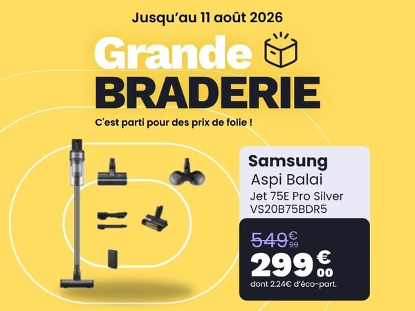 Aspirateur balai SAMSUNG Jet 75E Pro Silver VS20B75BDR5