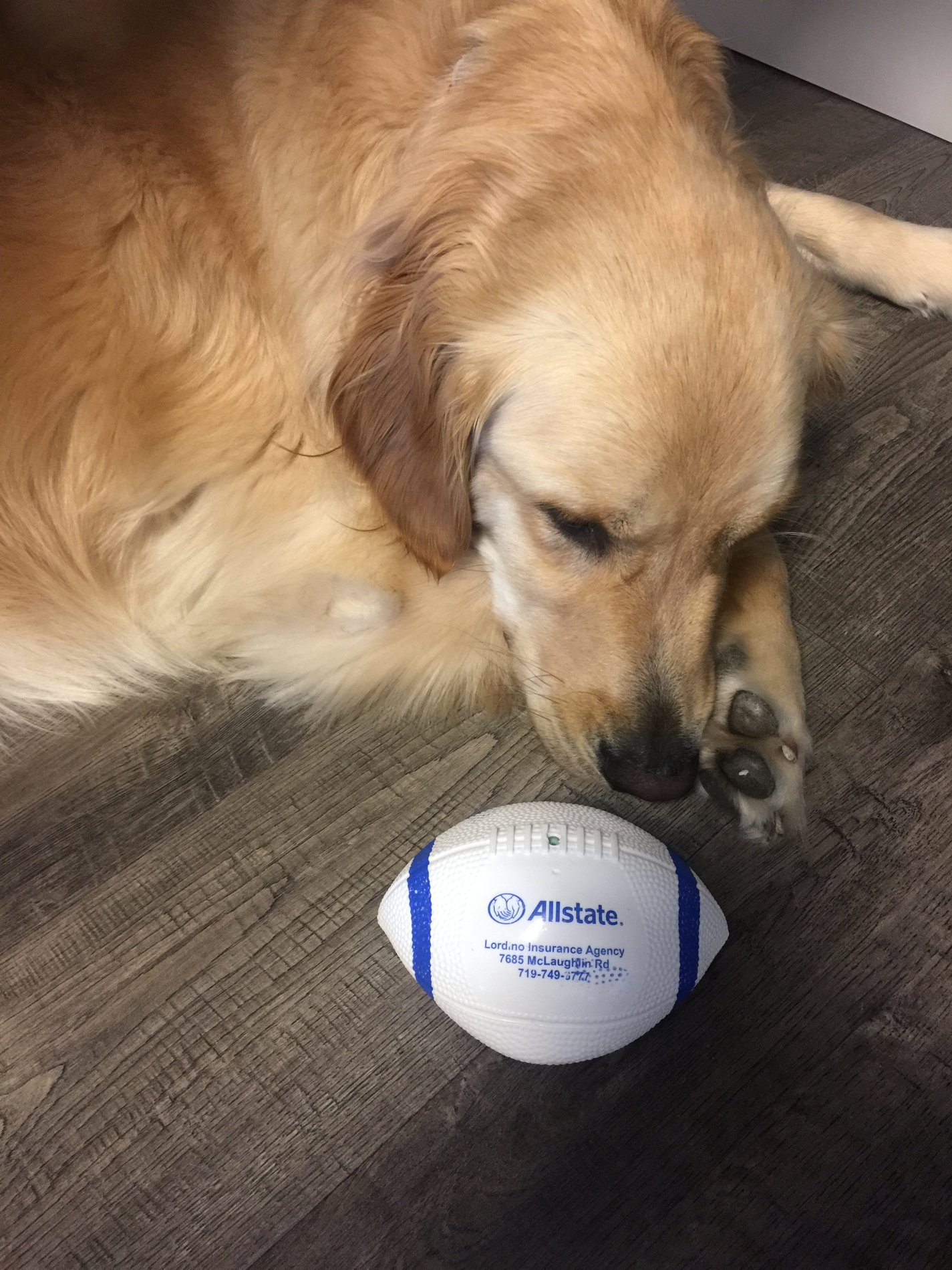 Lordino Allstate Mascot - Winter