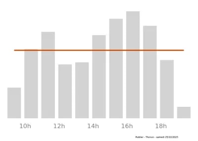 Voir le trafic sur Google maps https://maps.google.com/maps?cid=9822939874044070706