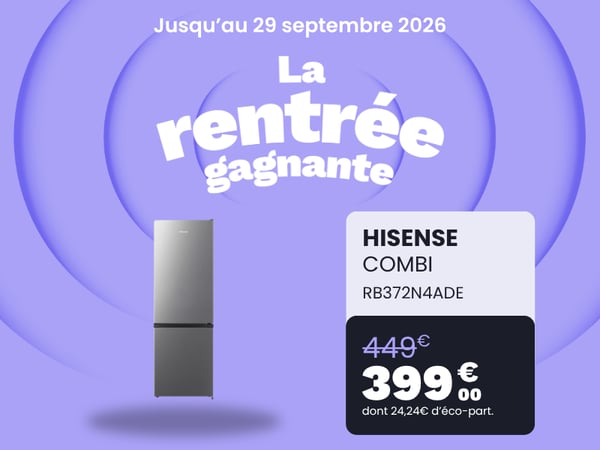 Réfrigérateur combiné HISENSE RB372N4ADE