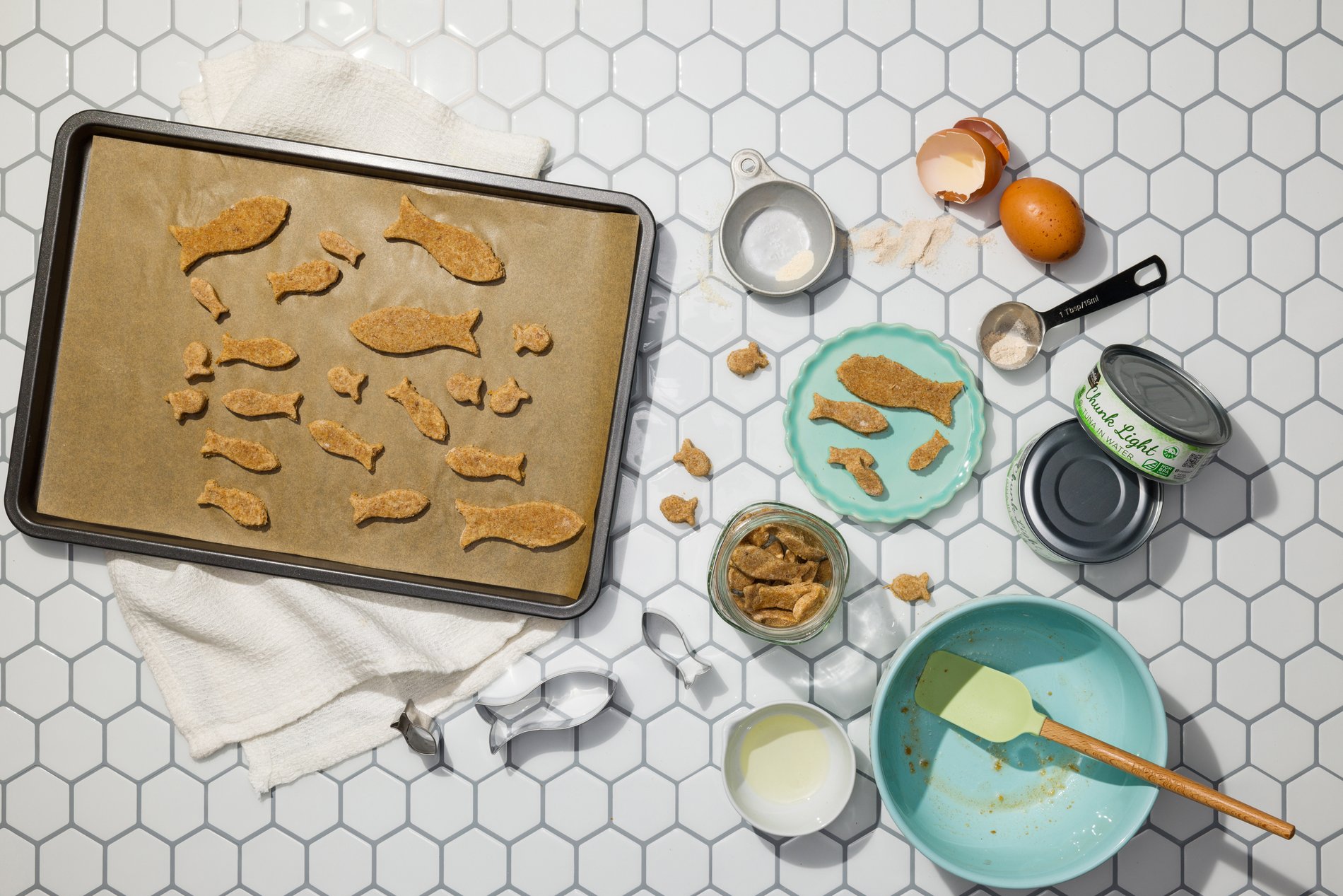 Pet Meds & Supplies Near Me in Tempe Dog food, Cat Food, Pet Care