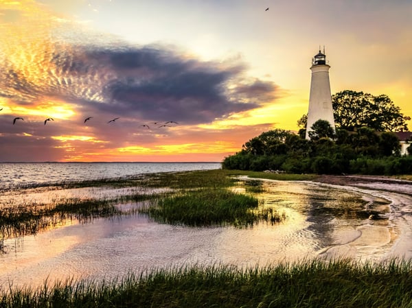 Fiber internet in Crawfordville, FL