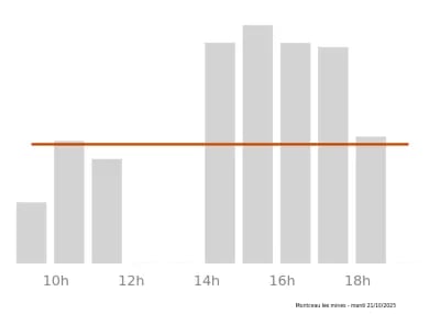 Voir le trafic sur Google maps https://maps.google.com/maps?cid=3901256518178086255