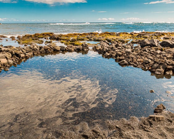 プナルウビーチ