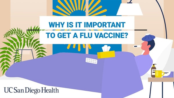 Image "Why is it important to get a flu vaccine?"
