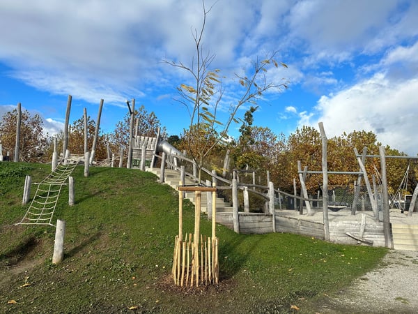 ELLEXA Sàrl, Soins aux arbres à Attalens